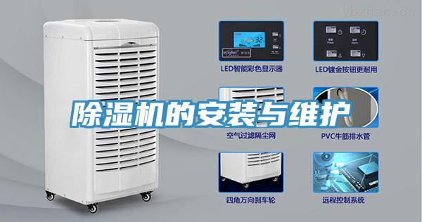 蘑菇视频网站的安裝與維護