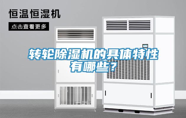 轉輪蘑菇视频网站的具體特性有哪些？