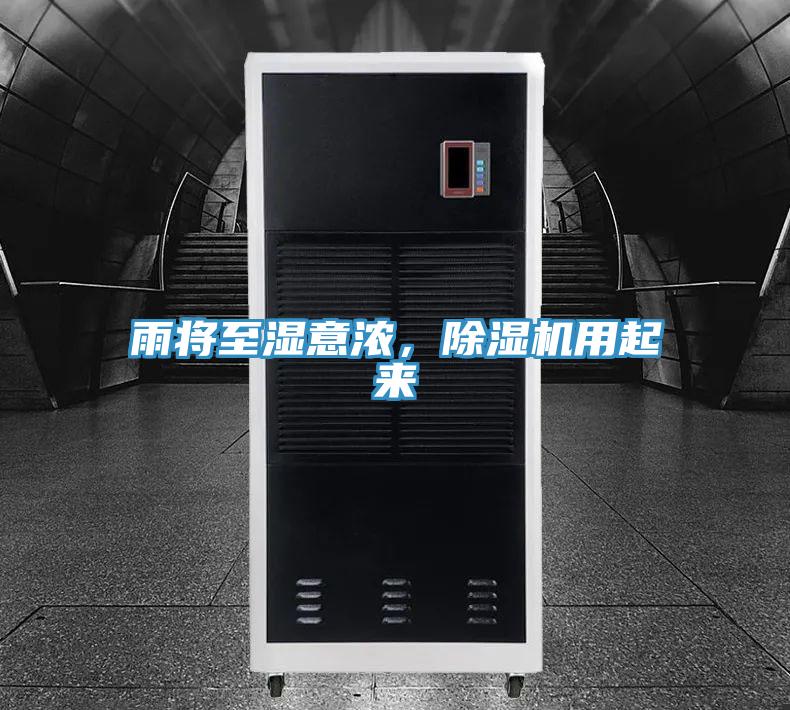 雨將至濕意濃，蘑菇视频网站用起來
