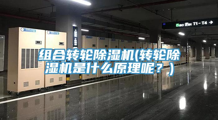 組合轉輪蘑菇视频网站(轉輪蘑菇视频网站是什麽原理呢？)
