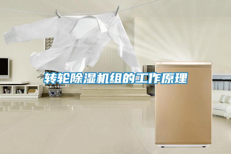 轉輪蘑菇视频网站組的工作原理
