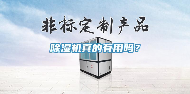 蘑菇视频网站真的有用嗎？