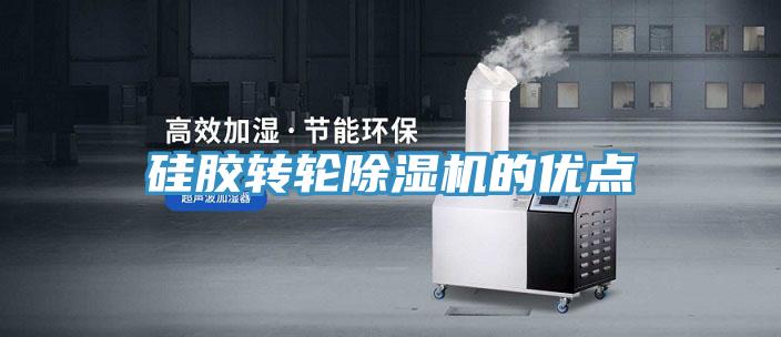 矽膠轉輪蘑菇视频网站的優點