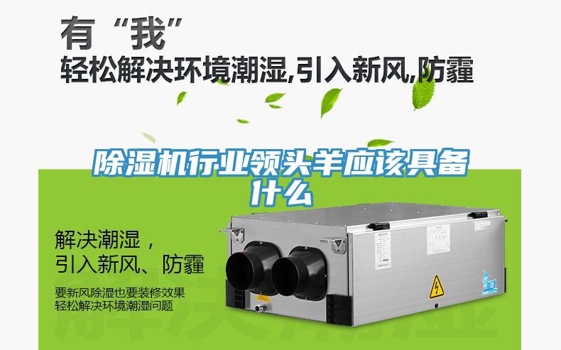 蘑菇视频网站行業領頭羊應該具備什麽