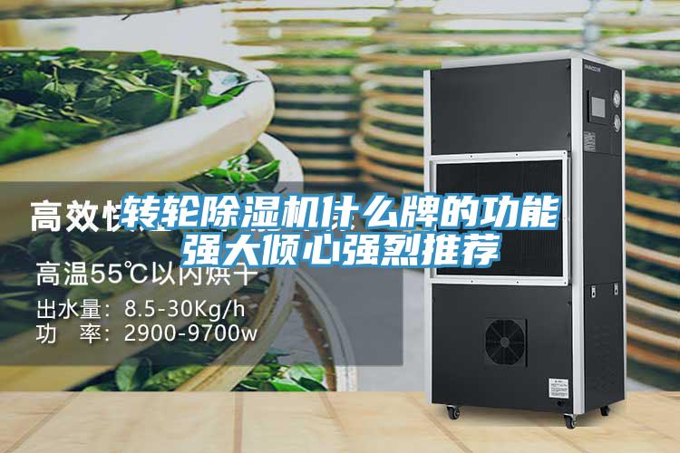 轉輪蘑菇视频网站什麽牌的功能強大傾心強烈推薦