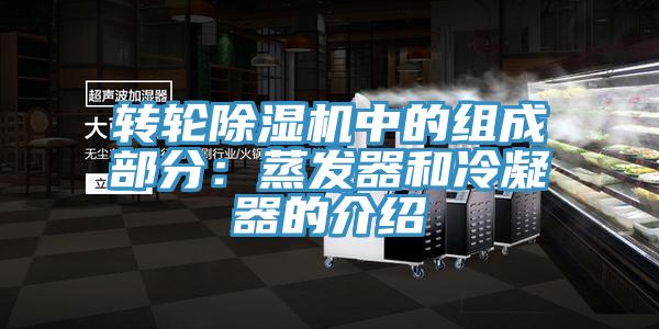 轉輪蘑菇视频网站中的組成部分：蒸發器和冷凝器的介紹