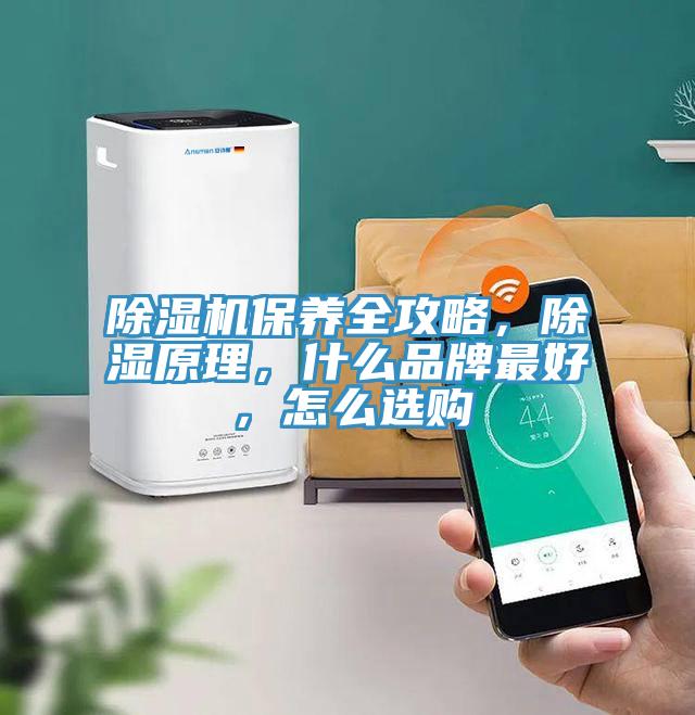 蘑菇视频网站保養全攻略，除濕原理，什麽品牌最好，怎麽選購