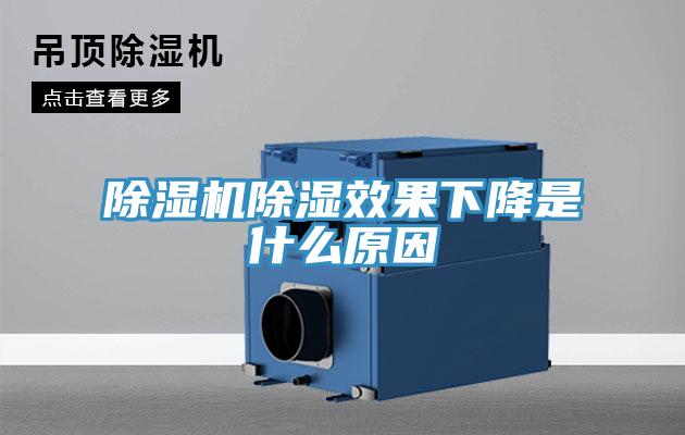 蘑菇视频网站除濕效果下降是什麽原因
