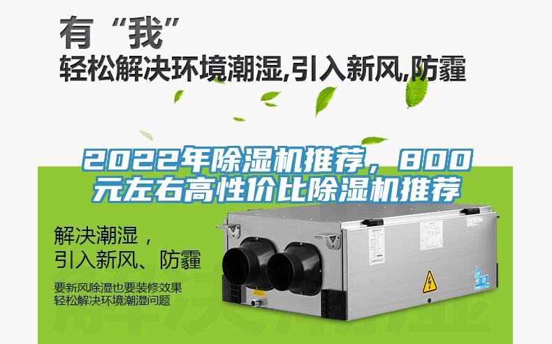 2022年蘑菇视频网站推薦，800元左右高性價比蘑菇视频网站推薦