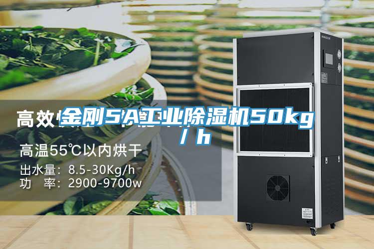金剛5A工業蘑菇视频网站50kg／h