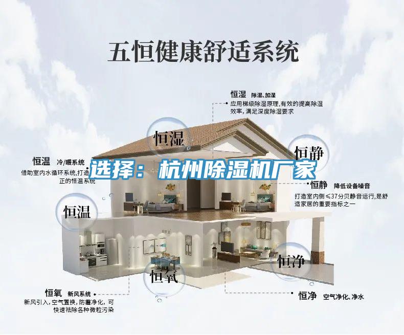 選擇：杭州蘑菇视频网站廠家