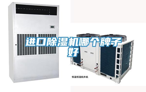 進口蘑菇视频网站哪個牌子好