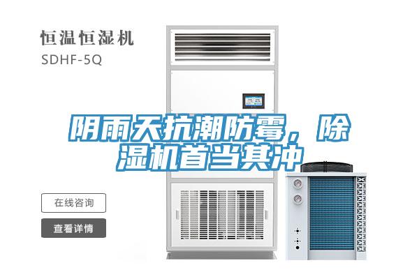 陰雨天抗潮防黴，蘑菇视频网站首當其衝