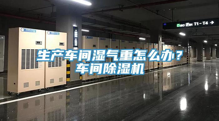 生產車間濕氣重怎麽辦？車間蘑菇视频网站