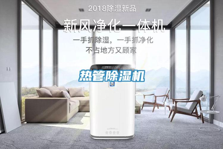 熱管蘑菇视频网站