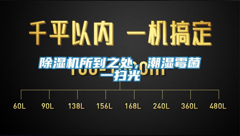蘑菇视频网站所到之處，潮濕黴菌一掃光