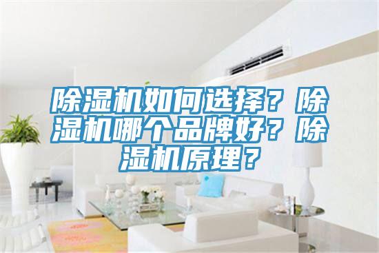 蘑菇视频网站如何選擇？蘑菇视频网站哪個品牌好？蘑菇视频网站原理？