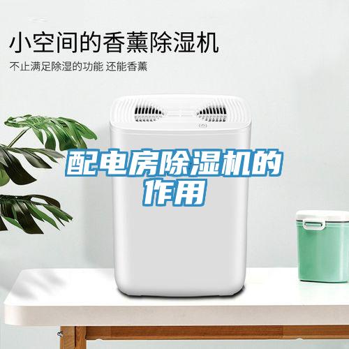 配電房蘑菇视频网站的作用