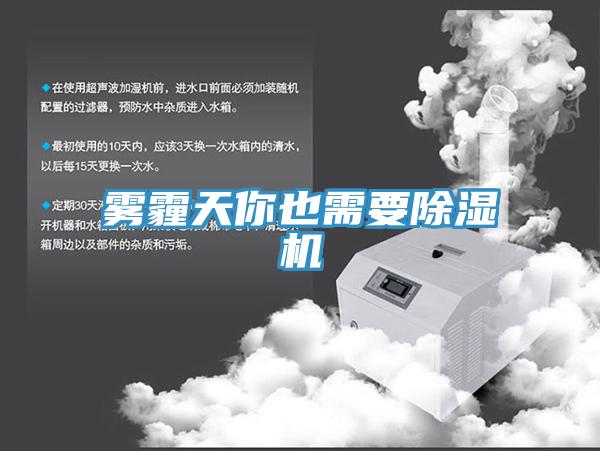 霧霾天你也需要蘑菇视频网站