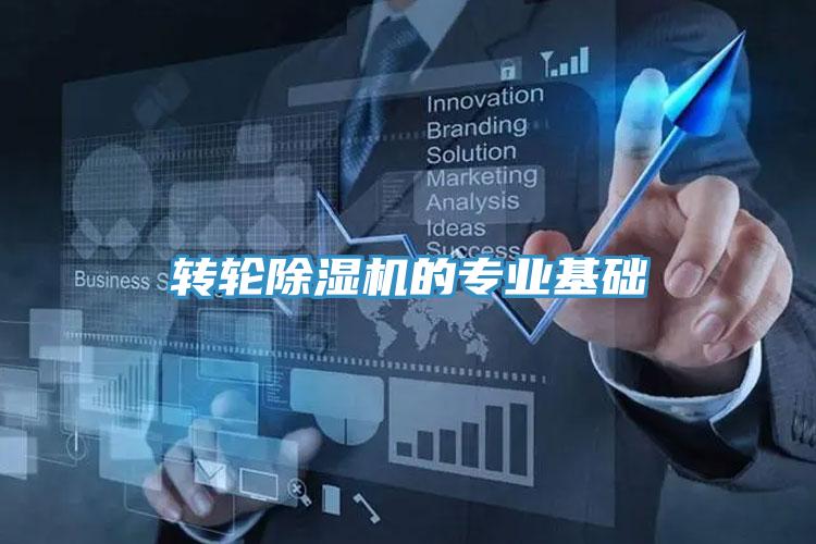 轉輪蘑菇视频网站的專業基礎
