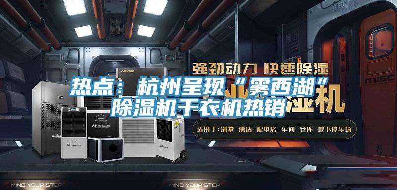 熱點：杭州呈現“霧西湖”蘑菇视频网站幹衣機熱銷