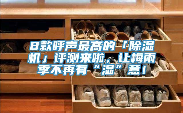 8款呼聲最高的「蘑菇视频网站」評測來啦，讓梅雨季不再有“濕”意！