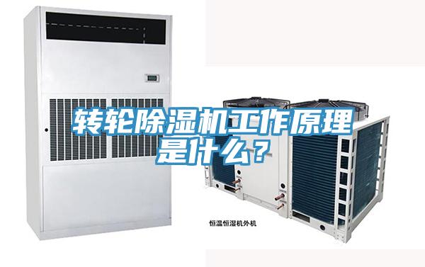 轉輪蘑菇视频网站工作原理是什麽？