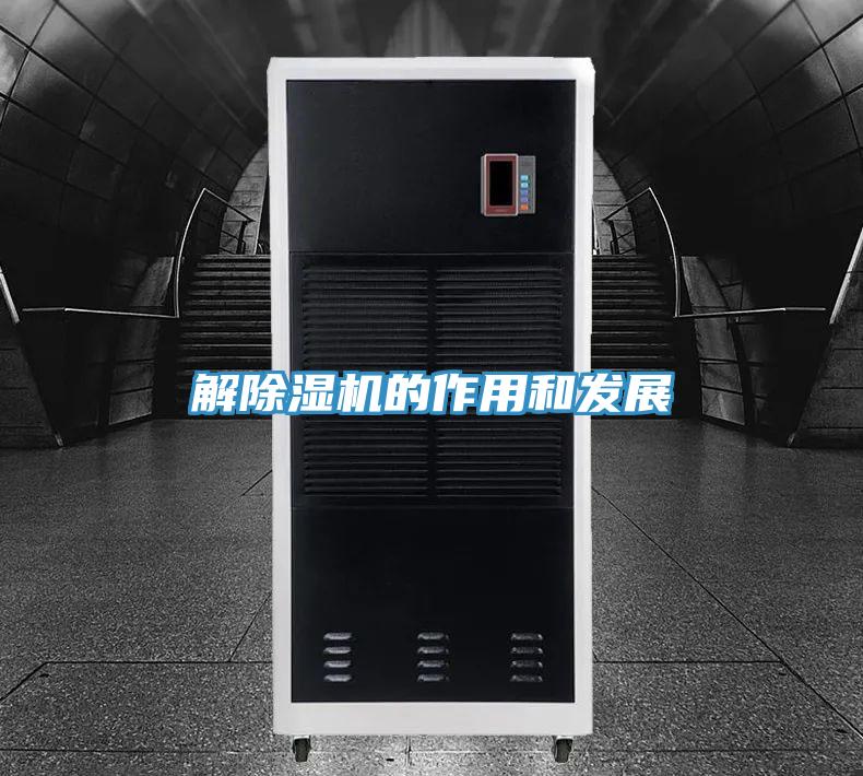 解蘑菇视频网站的作用和發展