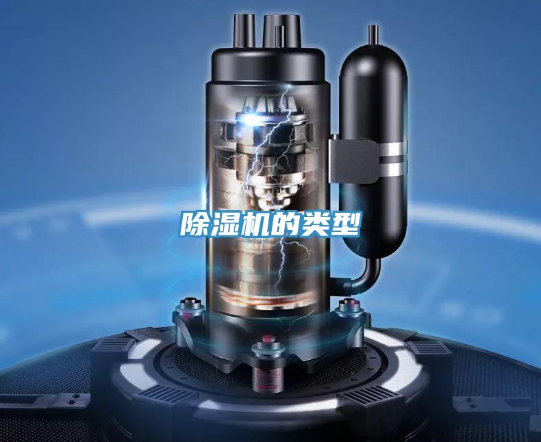 蘑菇视频网站的類型