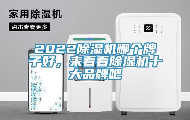 2022蘑菇视频网站哪個牌子好，來看看蘑菇视频网站十大品牌吧