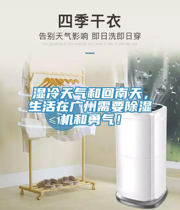 濕冷天氣和回南天，生活在廣州需要蘑菇视频网站和勇氣！
