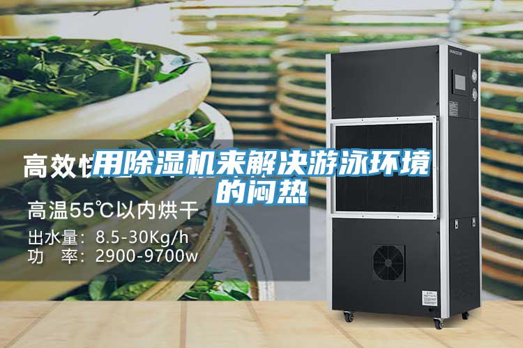 用蘑菇视频网站來解決遊泳環境的悶熱