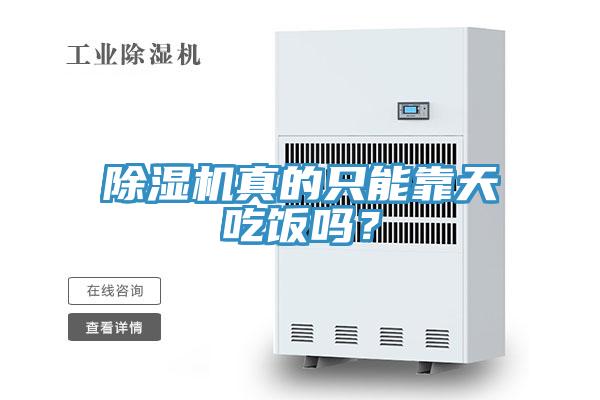 蘑菇视频网站真的隻能靠天吃飯嗎？