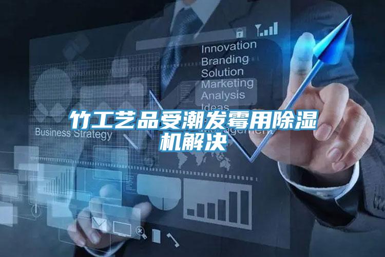竹工藝品受潮發黴用蘑菇视频网站解決