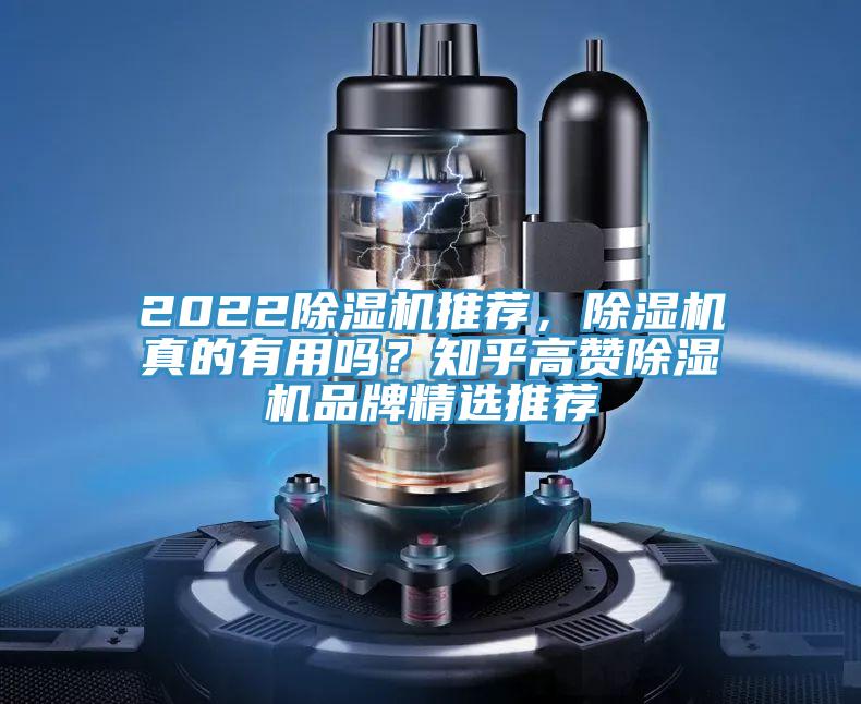 2022蘑菇视频网站推薦，蘑菇视频网站真的有用嗎？知乎高讚蘑菇视频网站品牌精選推薦