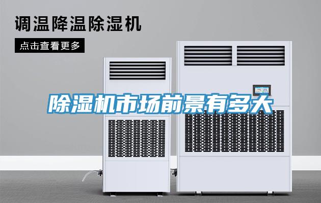 蘑菇视频网站市場前景有多大