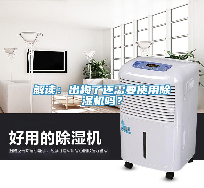 解讀：出梅了還需要使用蘑菇视频网站嗎？