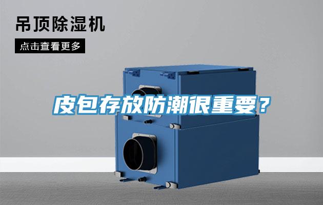 皮包存放防潮很重要？