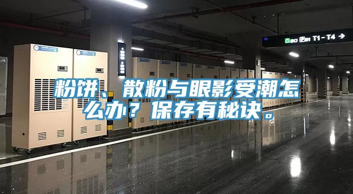 粉餅、散粉與眼影受潮怎麽辦？保存有秘訣。
