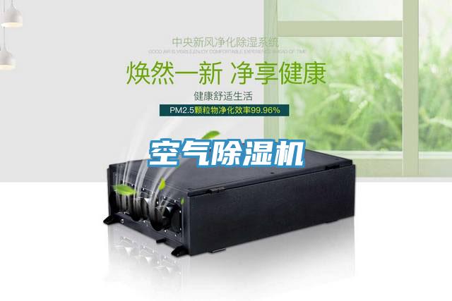 空氣蘑菇视频网站