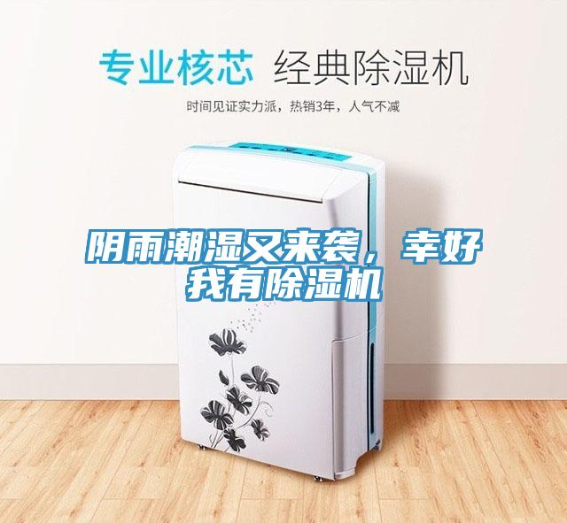 陰雨潮濕又來襲，幸好我有蘑菇视频网站