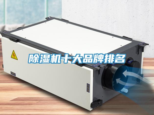 蘑菇视频网站十大品牌排名