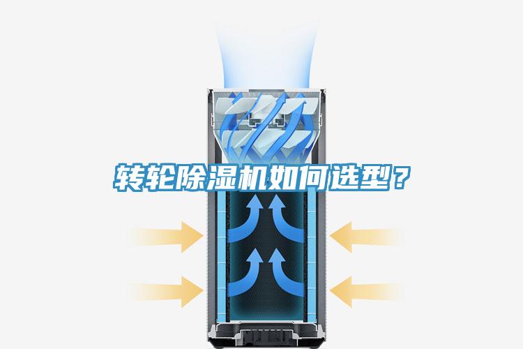轉輪蘑菇视频网站如何選型？