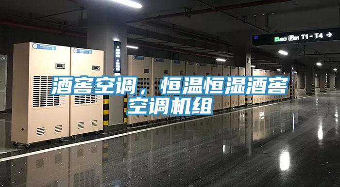 酒窖空調，恒溫恒濕酒窖空調機組