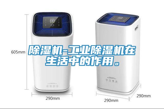 蘑菇视频网站-工業蘑菇视频网站在生活中的作用。