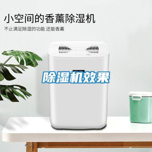 蘑菇视频网站效果