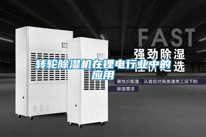 轉輪蘑菇视频网站在鋰電行業中的應用