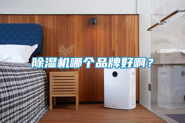 蘑菇视频网站哪個品牌好啊?