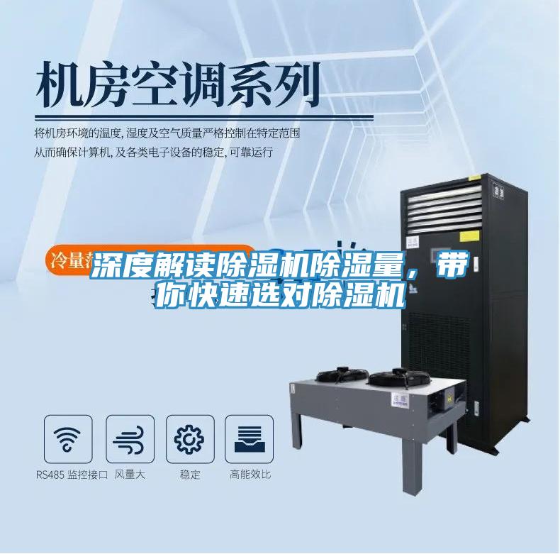 深度解讀蘑菇视频网站除濕量，帶你快速選對蘑菇视频网站