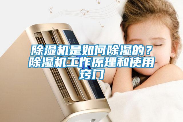 蘑菇视频网站是如何除濕的？蘑菇视频网站工作原理和使用竅門